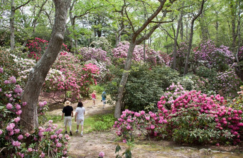 Heritage Museums and Gardens, United States